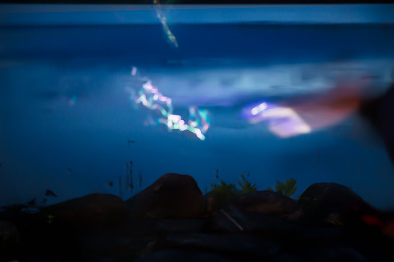 Constellation-7