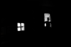 Into the Light