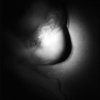 © 2008 Patricia Colombraro-Diptych #2