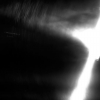 © 2008 Patricia Colombraro-Light #1