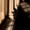 © 2011 Patricia Colombraro-Elsewhere