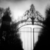 © 2005 Patricia Colombraro-Gates